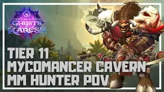 Tier 11 Mycomancer Cavern | Season 3 Delves | Sentinel MM POV 11.2