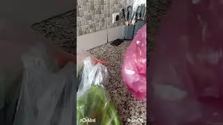 سبتني و بهدلتي و والاخير طاحت في يدي 😉😉😉😉😉😉
