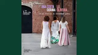 Martelo de Duas Pancadas