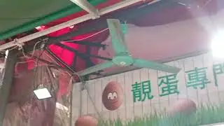 Jinling 48