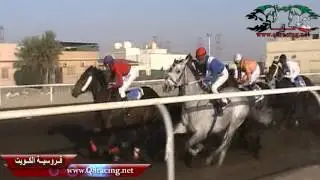 الجواد استفيد:لاسطبل العفيصان