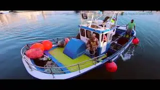 Vídeo promocional de la Lonja Pesquera de Los Abrigos full HD