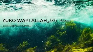YUKO WAPI ALLAH???