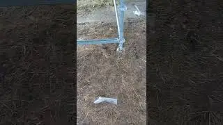 Kamery i sprzedajne kurew.. bez hanaja w dup.. w akcji !!!! Jak jeździ tak robi i tyle samo warte.