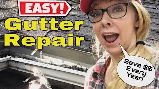 Honest Gutter Repair & Maintenance | Easy Tips To Get Your Roof to Last