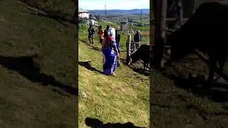 Umgido wezangoma