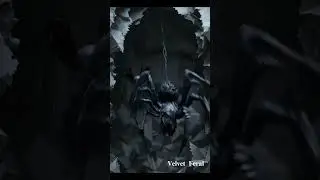 Amazing Spider Skills: Web Masters of Nature | Velvet Feral&rsquo;s Wild Close-Up