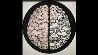 Evolution of the BrainRot Logo #indieanimation #editing #logo #art #logoevolution @cheesypotato13