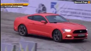 Шоу-конкур 