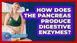 How Does the Pancreas Produce Digestive Enzymes?