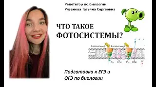 Фотосистемы для ЕГЭ  - коротко и понятно