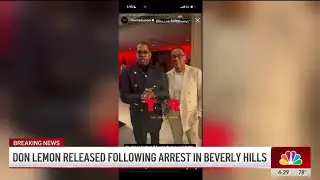 What happened in Beverly Hills before Don Lemon got arrested