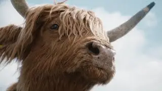 Virgin Media『Highland Rider』