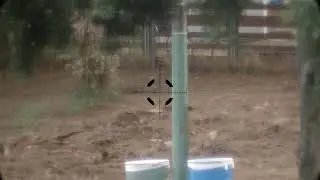 Side-Shot Scopecam Demo Footage Part 2