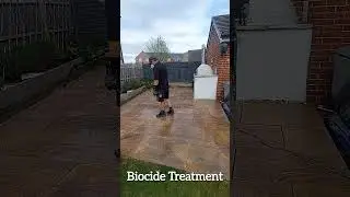 Part 1 of a Honed Sandstone Clean....To Be Continued