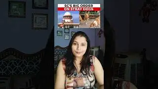 Supreme Court Issues Strong Warning on Stray Dogs. #latestnews #shorts