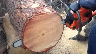 Husqvarna 357xp woods ported