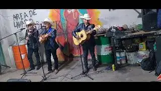 Aquí un temita titulado Voy a llorar por ti 