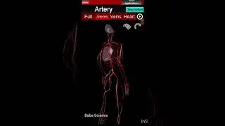 The Human circulatory system #Heart#artery #vein #3d animation #Baba science #pharmacy ..