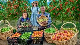 Picking Cherry Plum and Strawberry from the Mountain Orchard For Sweet Jam!