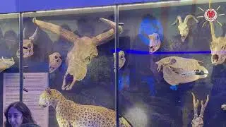 TARİHİN İZİNDEN ÇATALHÖYÜK GEZİMİZ