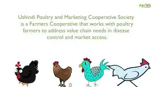 Ushindi Poultry and Marketing Cooperative Society