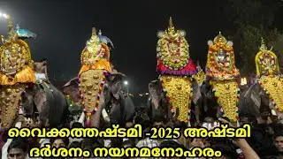 വൈക്കത്തഷ്ടമി 2025 | vaikom mahadeva Temple | Vaikathashtami 2025