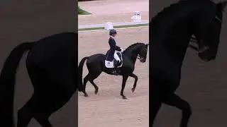 Passage (c&oacute;mo baila un caballo en competici&oacute;n) #equitacion #caballos #equestrian #dressage