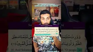 Quran And The Speech Of Animals #islam #quran #muslim #animals #science #religion #god #allah #fyp