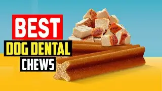 ✅Best Dog Dental Chews in 2025