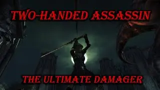 Beware the Two-Handed Assassin! - Dragon Age Origins