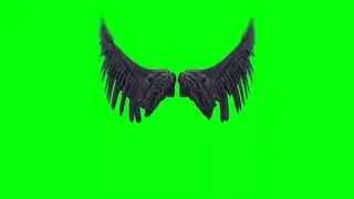 Green Screen Angel and Demon Wings Video Effects