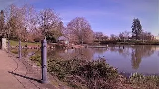 Around Waverly Lake