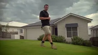 3 common lawn problems and how to fix them