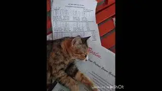 Lebih dekat dng Maestro Jepara Kris Boedianto