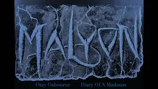 Ozzy Osbourne - Diary Of A Madman