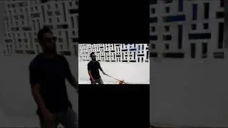 kl Rahul dog 🐕 funny things tik tok #short #tiktok #funny #dog #animals
