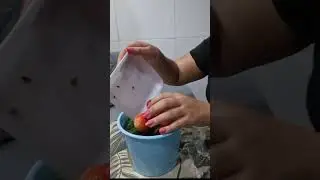 Parte 1 Morango do amor 🍓🩷      #morangodoamor #receitadoce