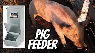 Brower Single Door Hog Gravity Feeder -- REVIEW