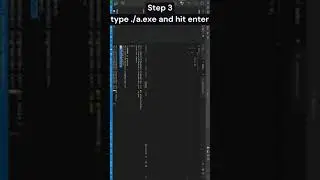 Using Terminal In VS Code to get Output    