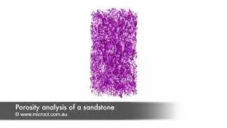 Porosity analysis of a sandstone