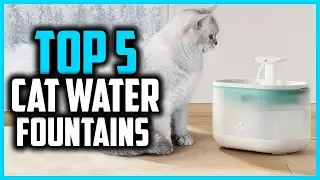 A pet water fountain that perfect for Cats and Dogs #petgugu #shorts #waterfountain #petcare