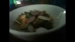 A Good Gerbil Diet.