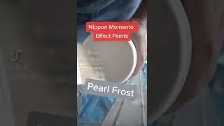 دهان پيرل فروست من نيپون Pearl Frost Momento Paint of Nippon