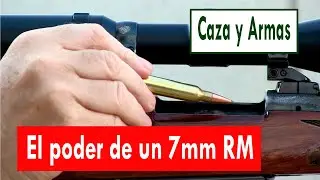 ¿Conocemos la potencia de un rifle de caza? Vamos a descubrirlo. Vídeos de caza y armas.
