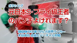 あなたはプロボクサー（KO率75％の元日本S・フライ級王者）のパンチよけれますか？バーチャルボクシング2