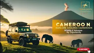 CAMEROON ADVENTURE Secrets You Never Knew