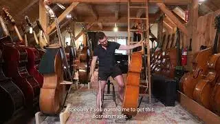 Double bass value, evolution, and appreciation at Upton Bass.