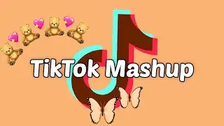 TikTok Mashup 2021 (not clean)