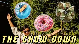 BEST DONUTS in SYDNEY | THE CHOW DOWN